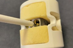 STAND ALONE CERVICAL IMPLANT ASSEMBLY INTO SAWBONES
